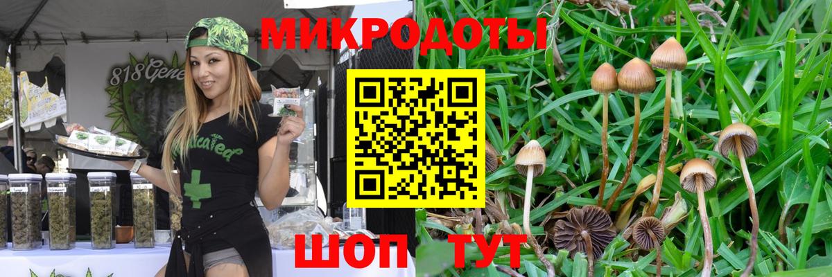 Галлюциногенные грибы Magic Shrooms Орск