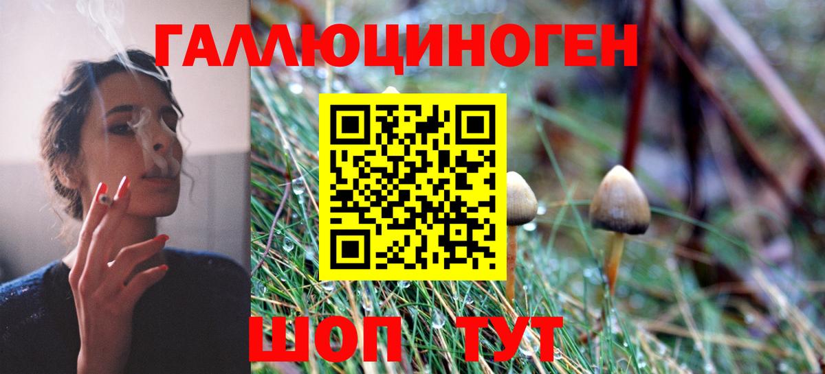 Галлюциногенные грибы MAGIC MUSHROOMS  Галлюциногенные грибы Cubensis  Вход с VPN  Орск 
